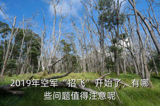 河南空軍招飛2019年怎么報名,2019年空軍招飛開始了