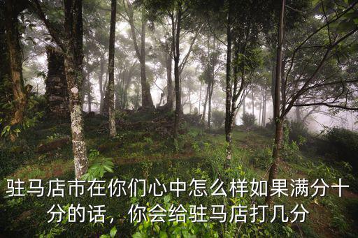 駐馬店市在你們心中怎么樣如果滿分十分的話，你會給駐馬店打幾分