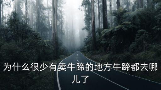 南陽哪里有賣牛蹄的,為什么很少有賣牛蹄的地方