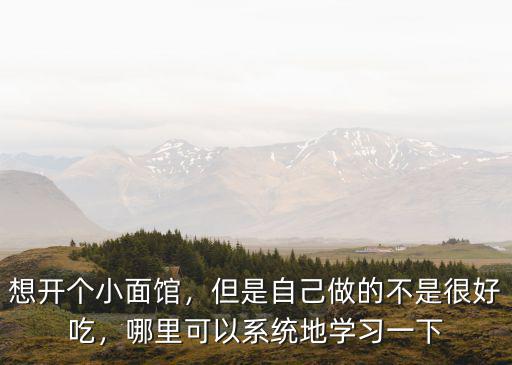 想開個小面館，但是自己做的不是很好吃，哪里可以系統地學習一下