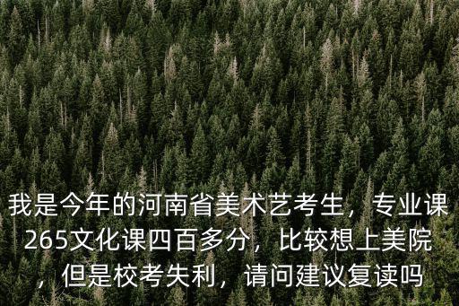 河南省的考生多少分可以上美院,我是今年的河南省美術(shù)藝考生