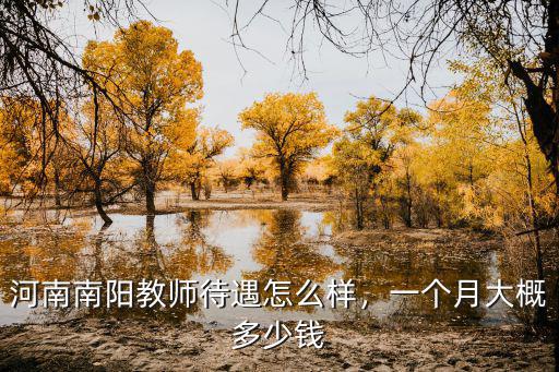 河南教師一年的工資是多少,河南農村教師工資標準是多少