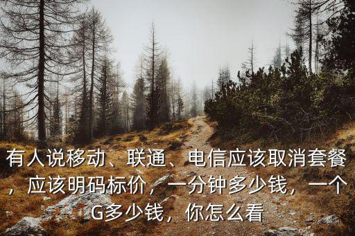 有人說移動、聯通、電信應該取消套餐，應該明碼標價，一分鐘多少錢，一個G多少錢，你怎么看