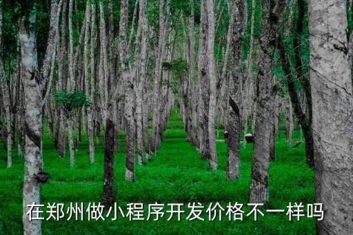 鄭州微信小程序怎么收費,鄭州企業微信小程序有用嗎