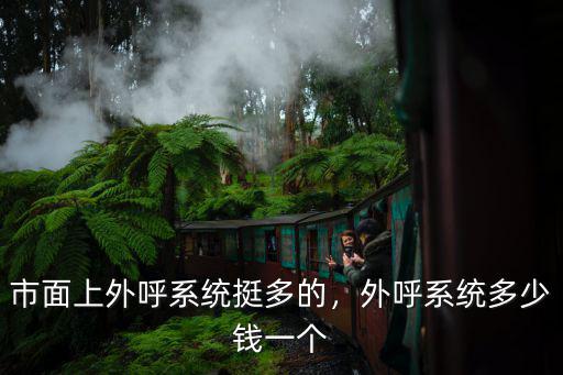 市面上外呼系統挺多的，外呼系統多少錢一個