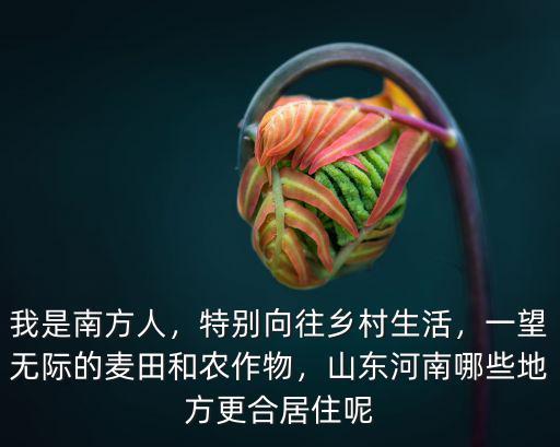 我是南方人，特別向往鄉村生活，一望無際的麥田和農作物，山東河南哪些地方更合居住呢
