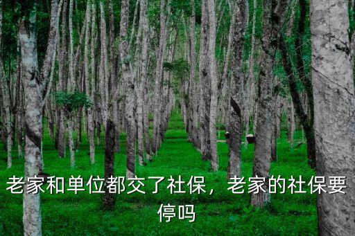 老家和單位都交了社保，老家的社保要停嗎