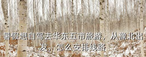 暑假想自駕去華東五市旅游，從豫北出發(fā)，怎么安排線路