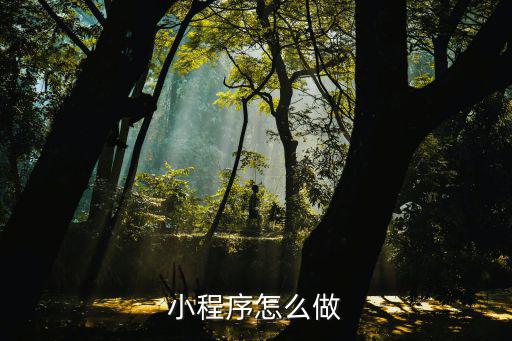 許昌百度小程序怎么做,小程序怎么做