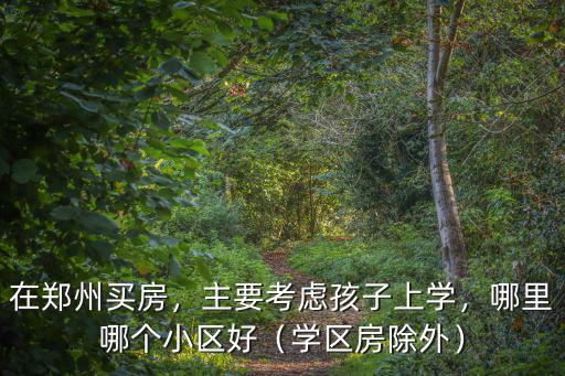 在鄭州買房，主要考慮孩子上學，哪里哪個小區好（學區房除外）