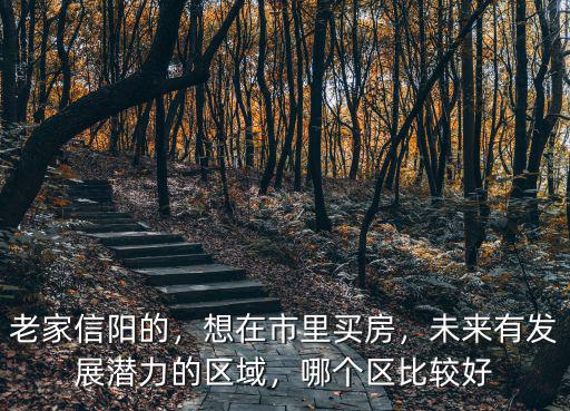 老家信陽的，想在市里買房，未來有發展潛力的區域，哪個區比較好