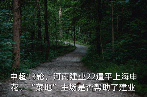 河南菜地怎么樣了,回河南農村種菜怎么樣