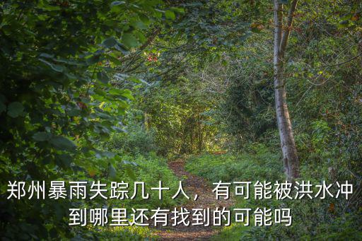 鄭州暴雨的水往哪里排,鄭州暴雨失蹤幾十人