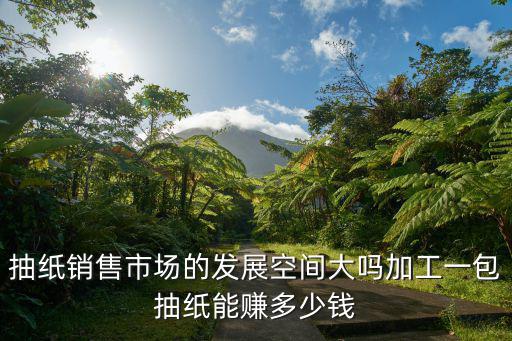 開封專業(yè)定做抽紙要多少錢,加工一包抽紙能賺多少錢