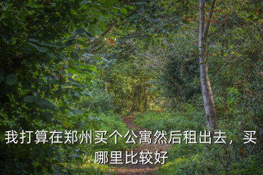 我打算在鄭州買個公寓然后租出去，買哪里比較好