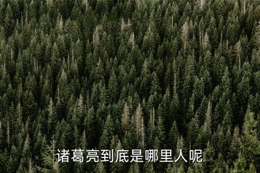 諸葛亮到底是哪里人呢