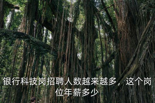 銀行科技崗招聘人數(shù)越來越多，這個崗位年薪多少