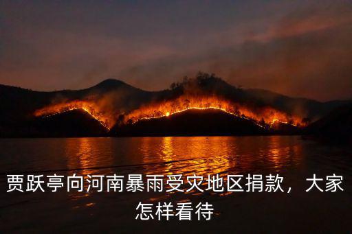 賈躍亭向河南暴雨受災地區捐款，大家怎樣看待