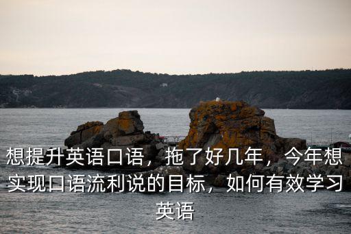 想提升英語(yǔ)口語(yǔ)，拖了好幾年，今年想實(shí)現(xiàn)口語(yǔ)流利說(shuō)的目標(biāo)，如何有效學(xué)習(xí)英語(yǔ)