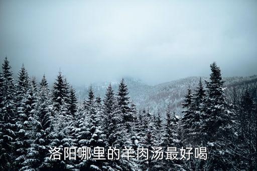 洛陽湯館哪里好,洛陽哪里的牛肉湯比較好喝