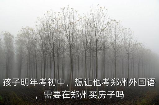 孩子明年考初中，想讓他考鄭州外國語，需要在鄭州買房子嗎