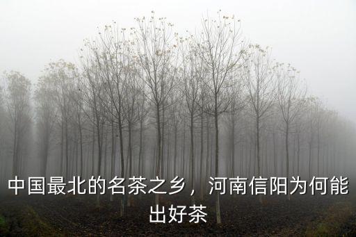 中國最北的名茶之鄉(xiāng)，河南信陽為何能出好茶