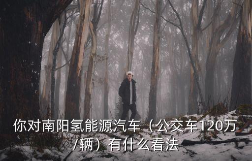 你對南陽氫能源汽車（公交車120萬/輛）有什么看法
