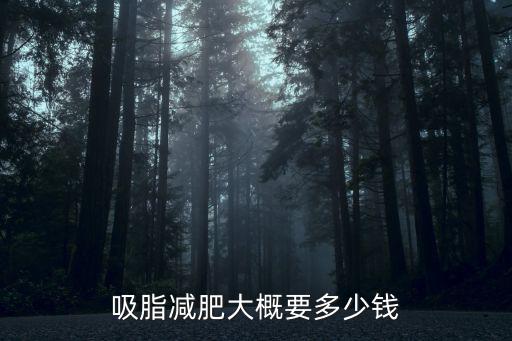 吸脂減肥大概要多少錢