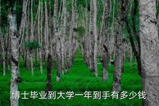 博士畢業到大學一年到手有多少錢