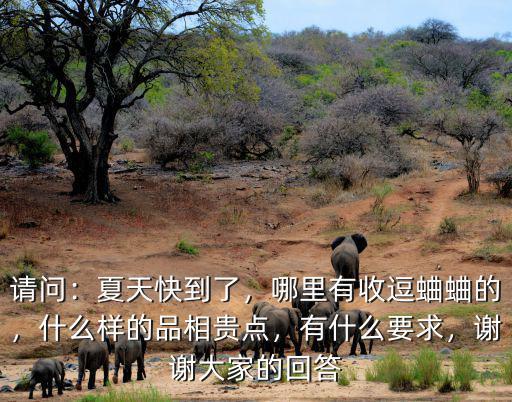 鄭州哪里有收蛐蛐的,哪里有收逗蛐蛐的