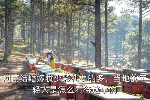 河南結婚嫁妝少彩禮要的多，當地的年輕人是怎么看待這事的