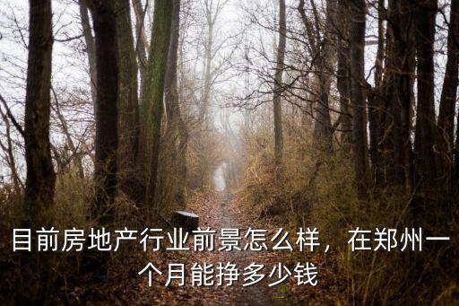 目前房地產行業前景怎么樣，在鄭州一個月能掙多少錢