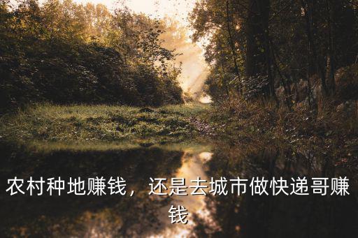 農村種地賺錢，還是去城市做快遞哥賺錢
