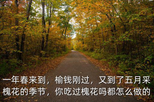 河南的槐花香怎么做,河南的洋槐花燒雞蛋怎么做的