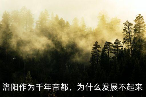 洛陽一諾文化發展怎么樣,發展潛力怎么樣