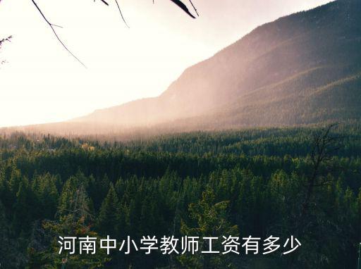 河南社旗的基本工資是多少,河南農村教師工資標準是多少