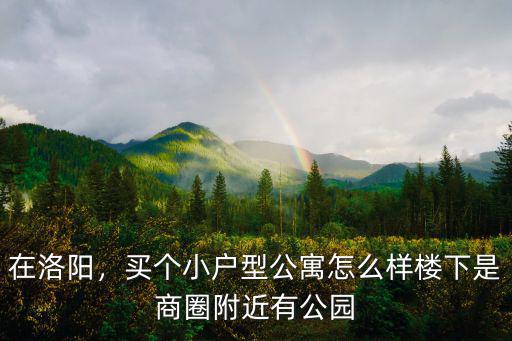 在洛陽，買個(gè)小戶型公寓怎么樣樓下是商圈附近有公園