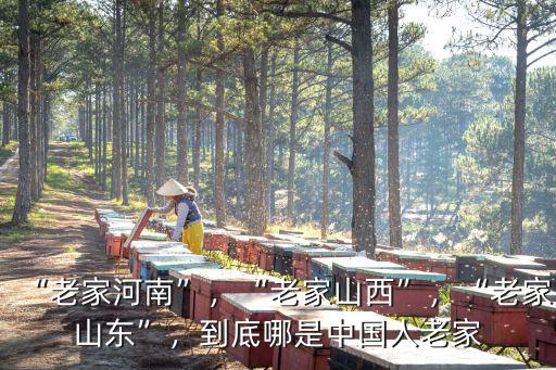 “老家河南”，“老家山西”，“老家山東”，到底哪是中國(guó)人老家