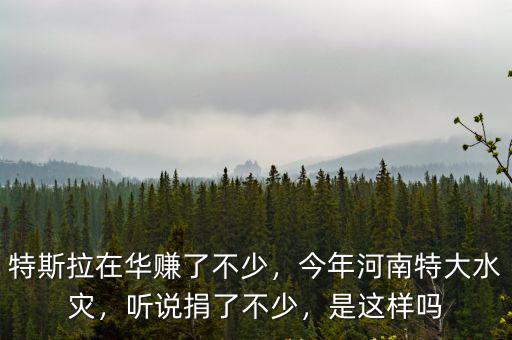 特斯拉在華賺了不少，今年河南特大水災(zāi)，聽說捐了不少，是這樣嗎