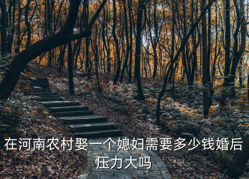 在河南農村娶一個媳婦需要多少錢婚后壓力大嗎