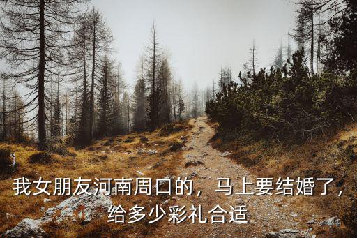 我女朋友河南周口的，馬上要結婚了，給多少彩禮合適