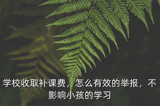學校收取補課費，怎么有效的舉報，不影響小孩的學習