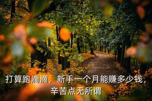 在新鄉跑滴滴一月能賺多少錢,在南昌租公司電動汽車跑滴滴