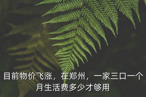 河南三口之家一個月花費多少,現在一個三口之家