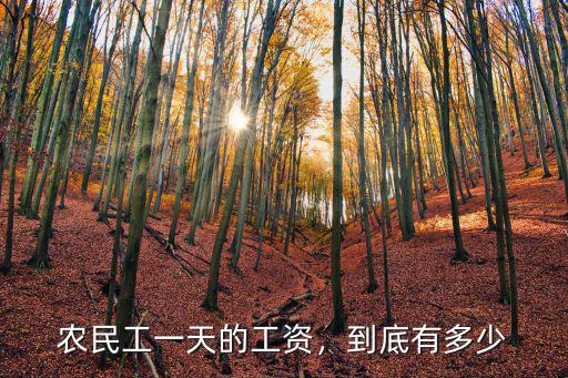 農民工一天的工資，到底有多少