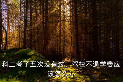 南陽駕考科二五次未過怎么辦,科二考了五次沒有過