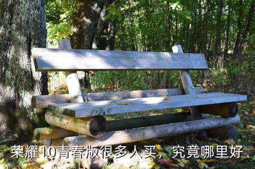 許昌哪里買榮耀10青春版,榮耀10青春版很多人買