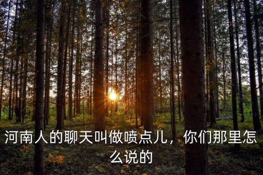 河南人的聊天叫做噴點兒，你們那里怎么說的