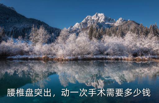 腰椎盤突出，動一次手術需要多少錢