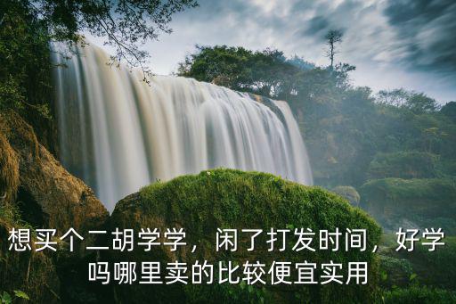 想買個二胡學(xué)學(xué)，閑了打發(fā)時間，好學(xué)嗎哪里賣的比較便宜實用